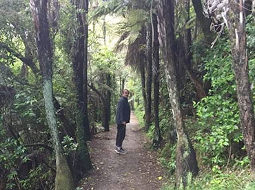 Karangahake Gorge Walkway