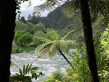 Karangahake Gorge Walkway