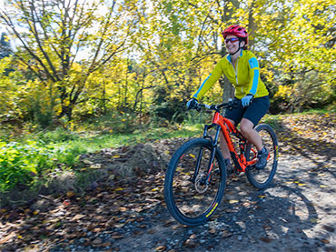 Hauraki Rail Trail