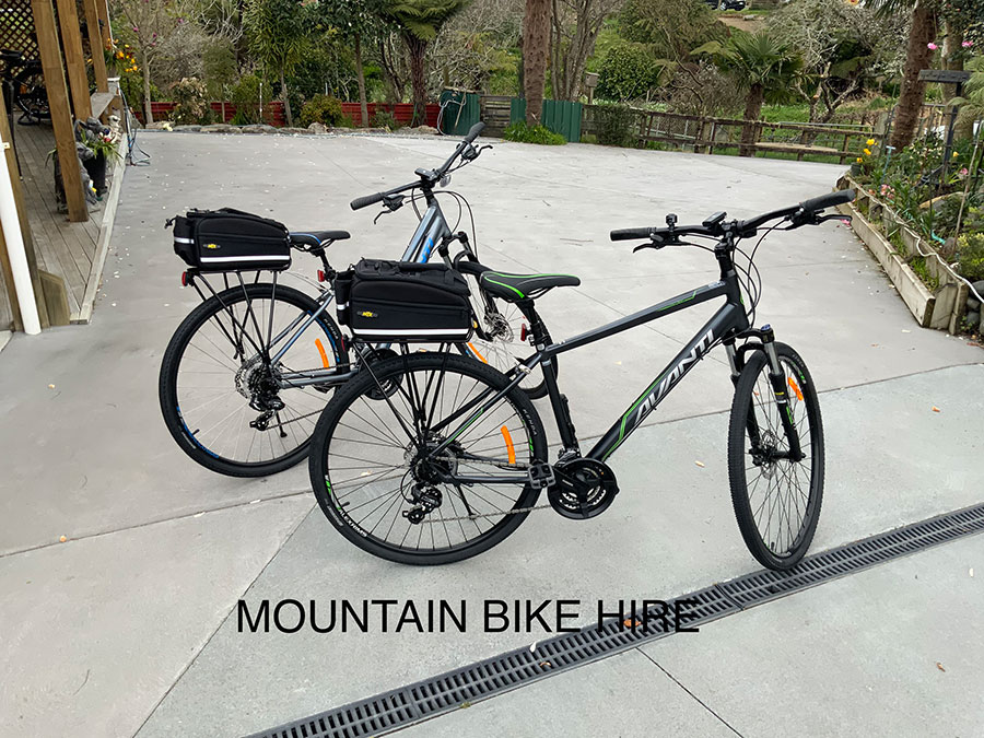 Mountain bike hire